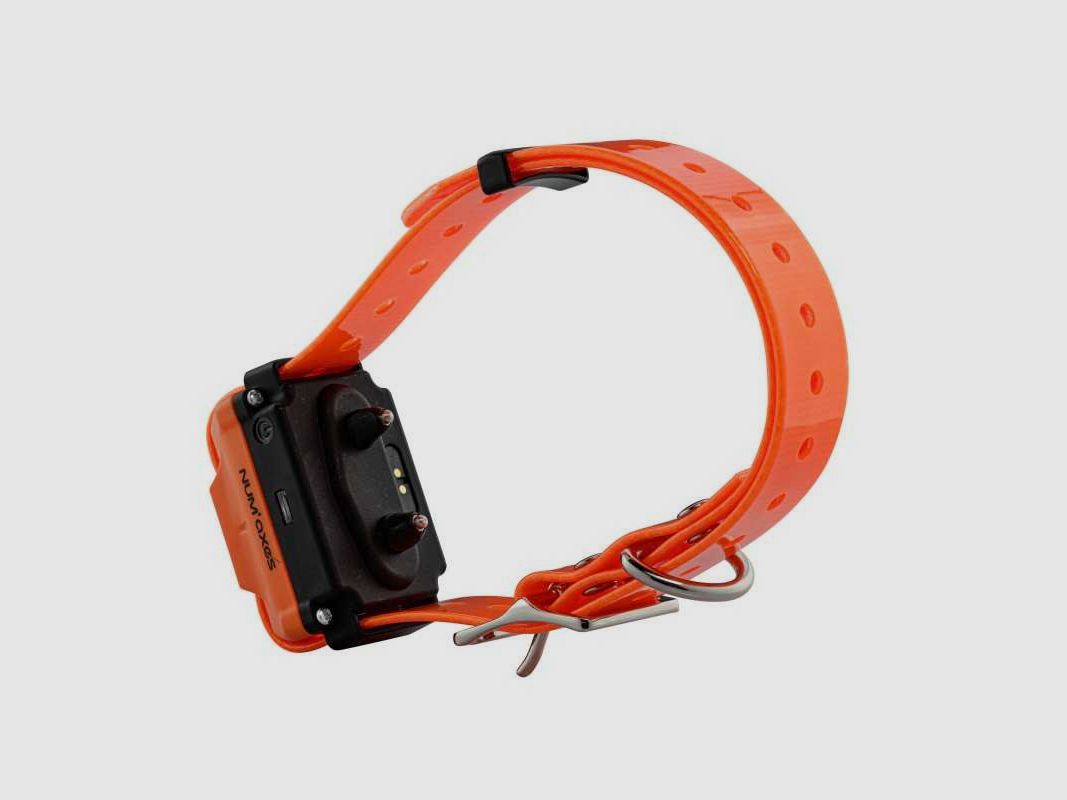 Fernbedienung und Trainingshalsbänder Canicom R-1500 - Canicom R-1500, Bild 7 von 10
