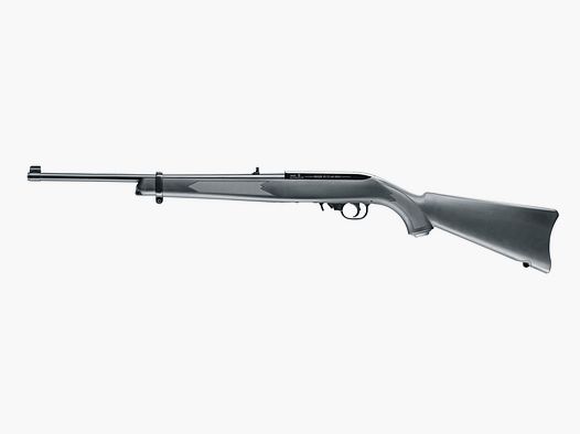 Ruger 10/22