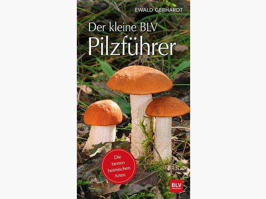 Gräfe & Unzer Der kleine BLV Pilzführer Ewald Gerhardt