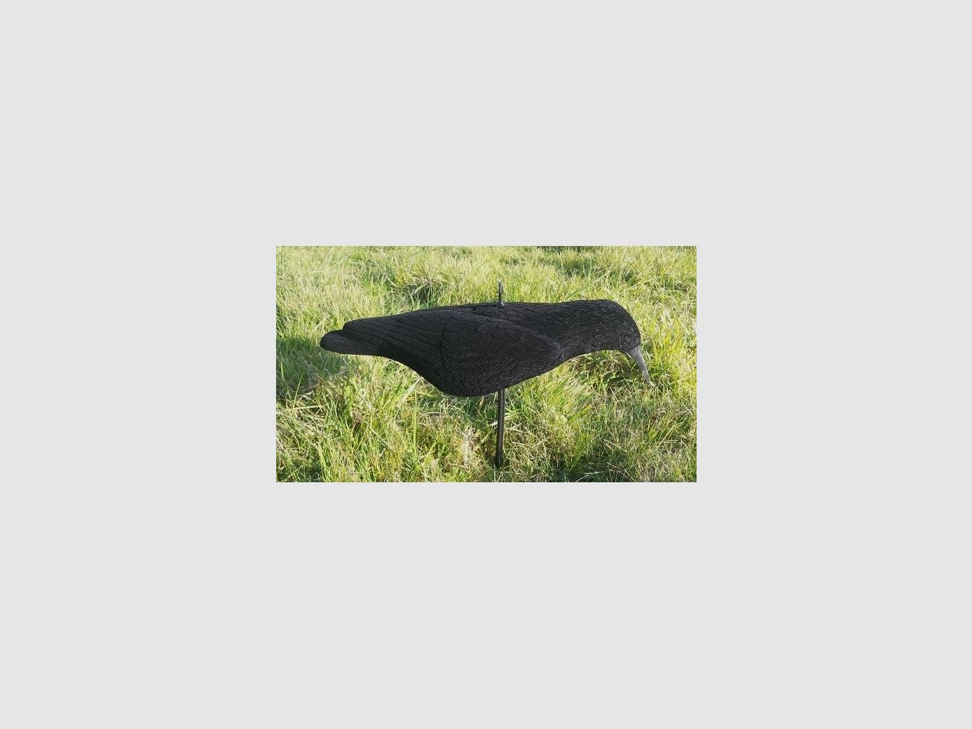 Flockierte Halbschale Corbeau