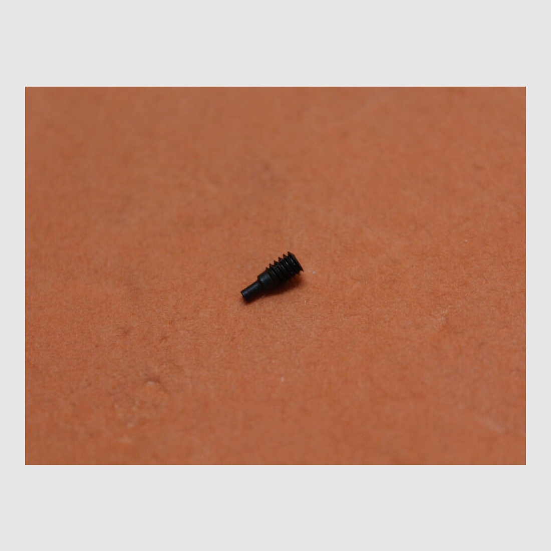 DPMS AR-15: Rear Sight Base Index Screw AR-15 A2 Matte DPMS Halteschraube für Rastscheibe des Dioptervisiers