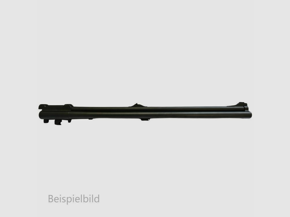 Blaser WL D99