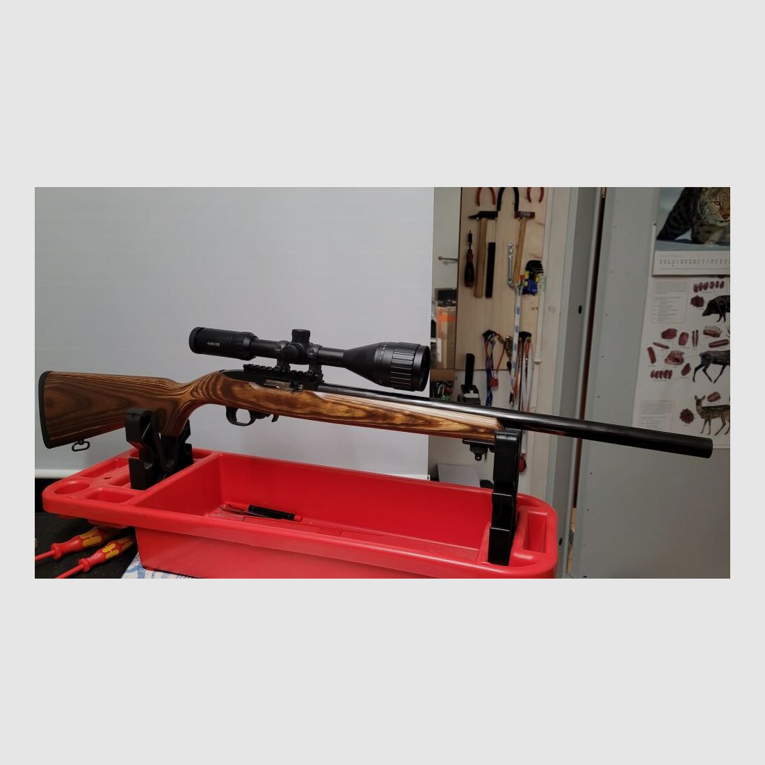 Ruger 10/22