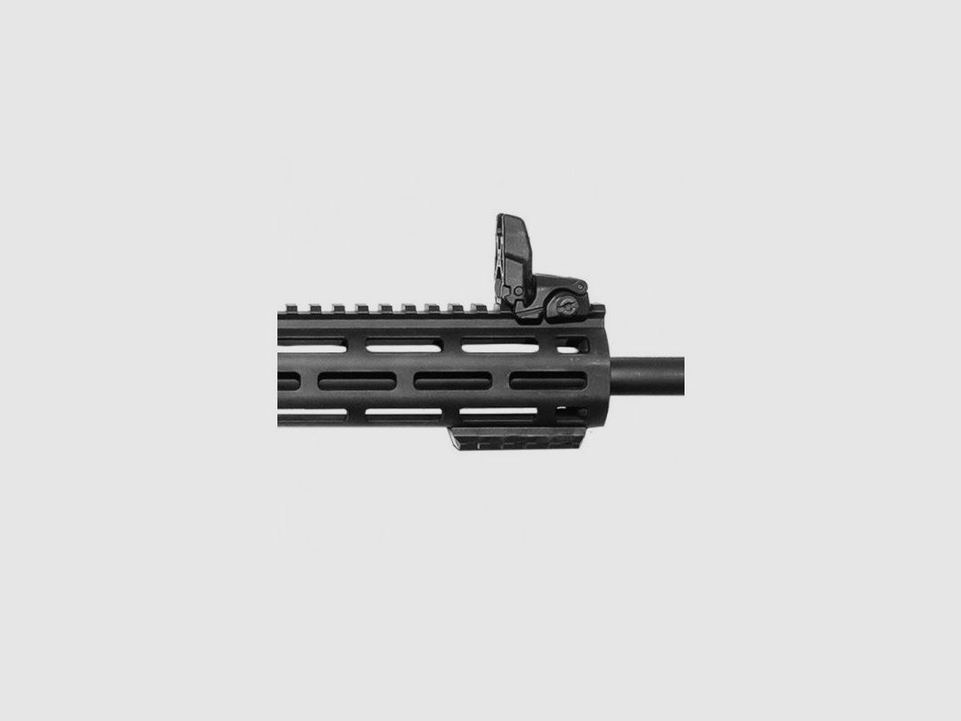 Smith & Wesson M&P15-22 Sport, Bild 3 von 9