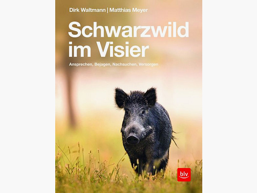 Schwarzwild im Visier - Dirk Waltmann & Matthias Meyer