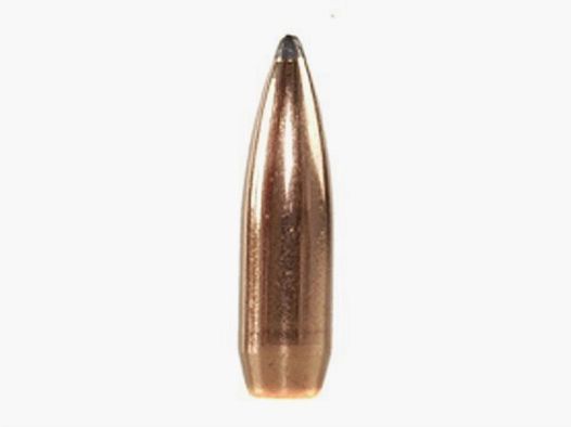 Speer Bullet .25/.257 100GR SP 100 Pieces