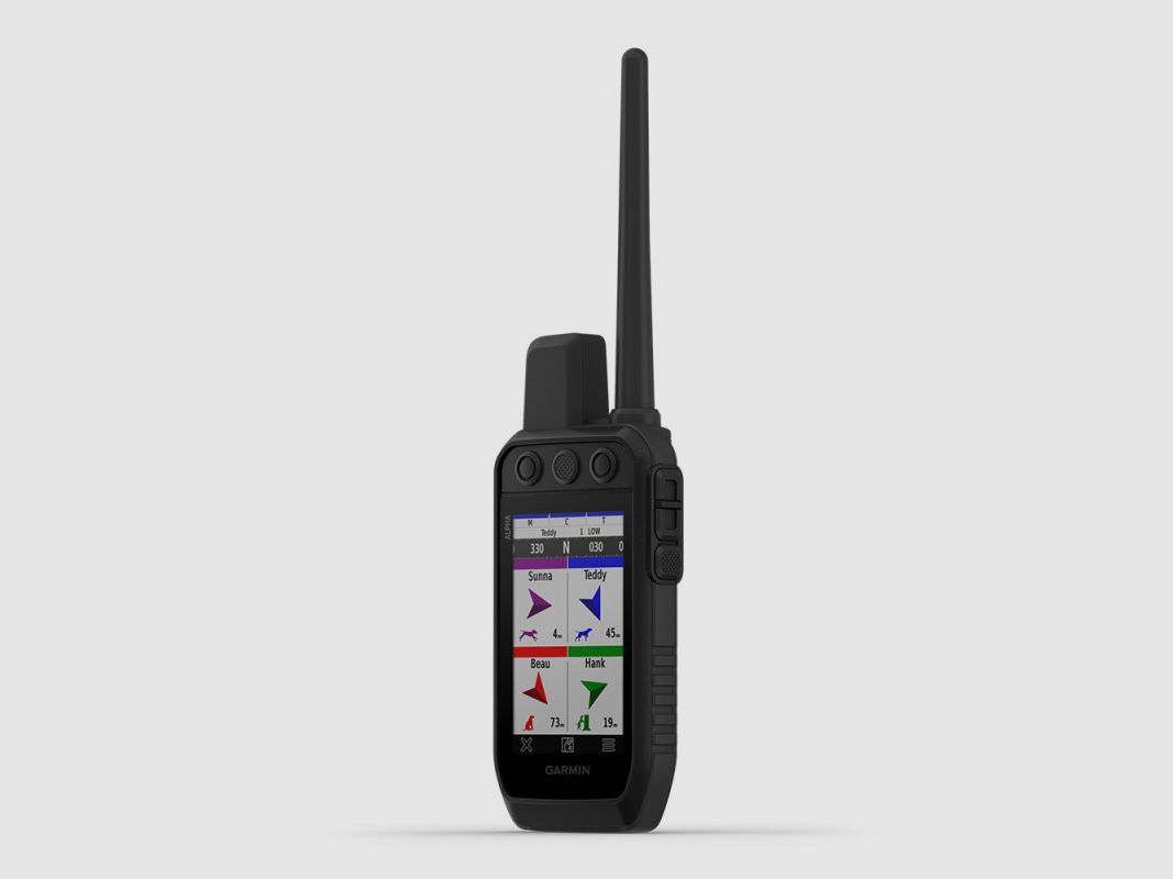 Kit collare GPS GARMIN ALPHA 300F TT25F, immagine 2 di 5