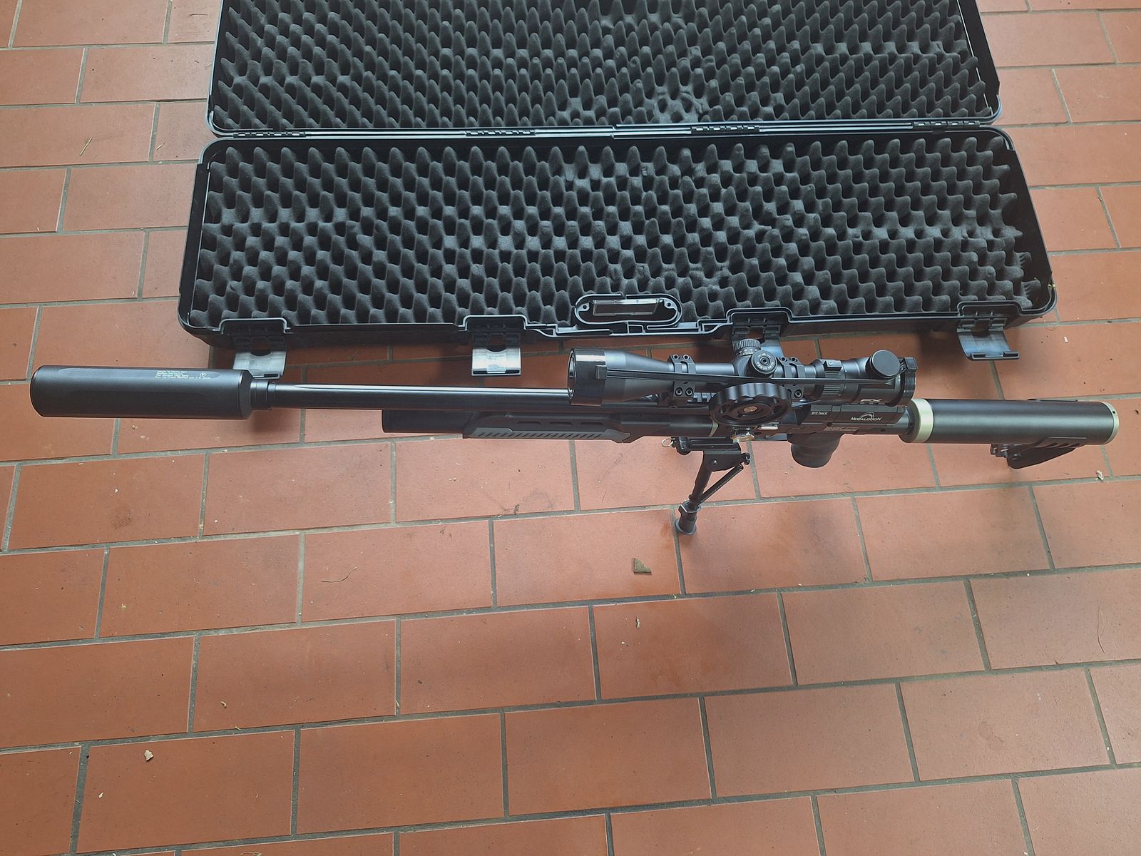 <Aea Megalodon