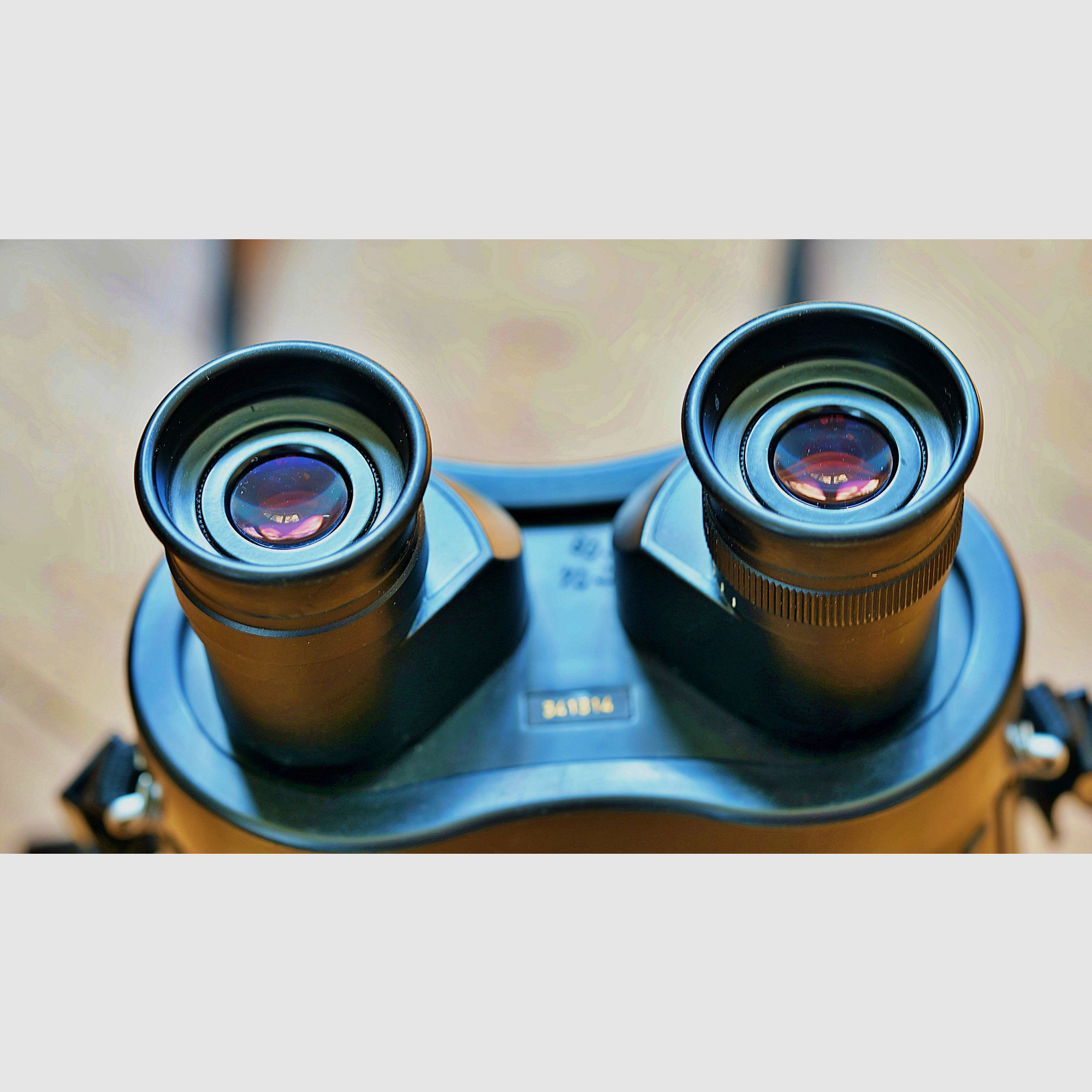 Zeiss 20 x 60 S
