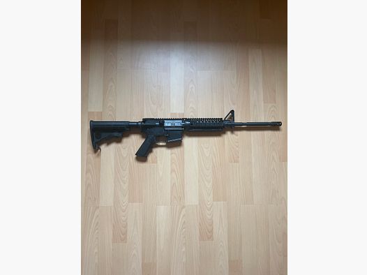 Windham Weaponry SRC AR15 Custom