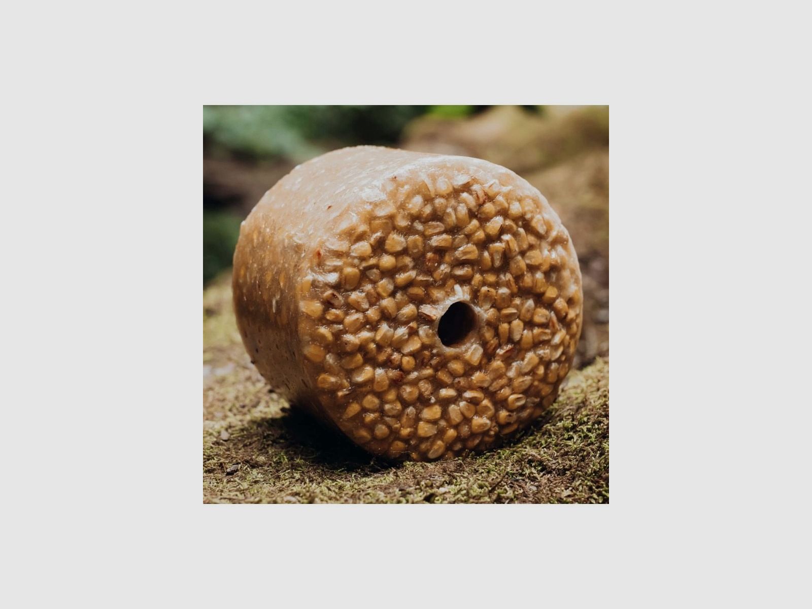 WILDLUTSCHER Special Licksteen "Zout Maïs"