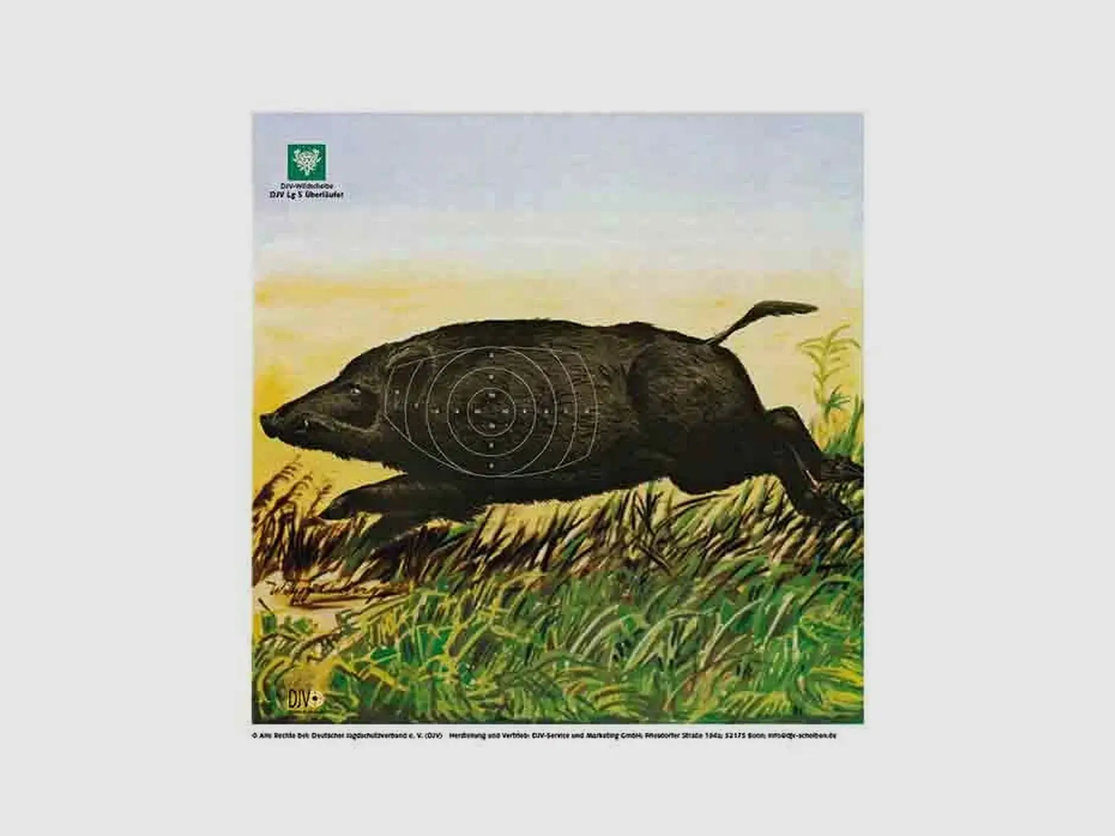 DJV Air Rifle Hunting Targets 14 × 14 cm · 100 pieces, image 2 of 5