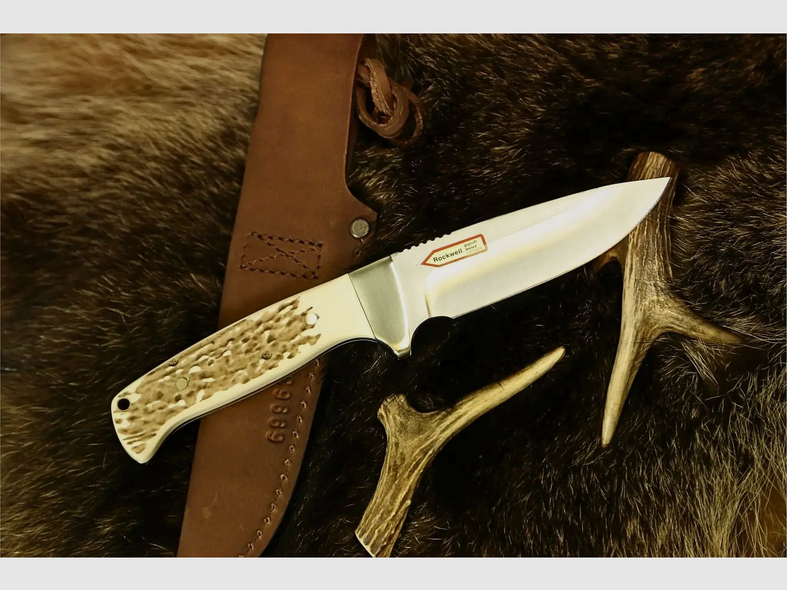 PUMA SGB clearcut, commando stag