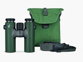 SWAROVSKI OPTIK Swarovski CL Companion 8x30 B grün + URBAN JUNGLE Zubehörpaket