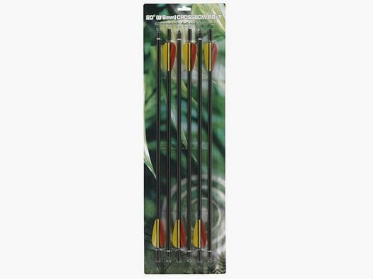 Flèches de remplacement 20" pour arbalète à poulies