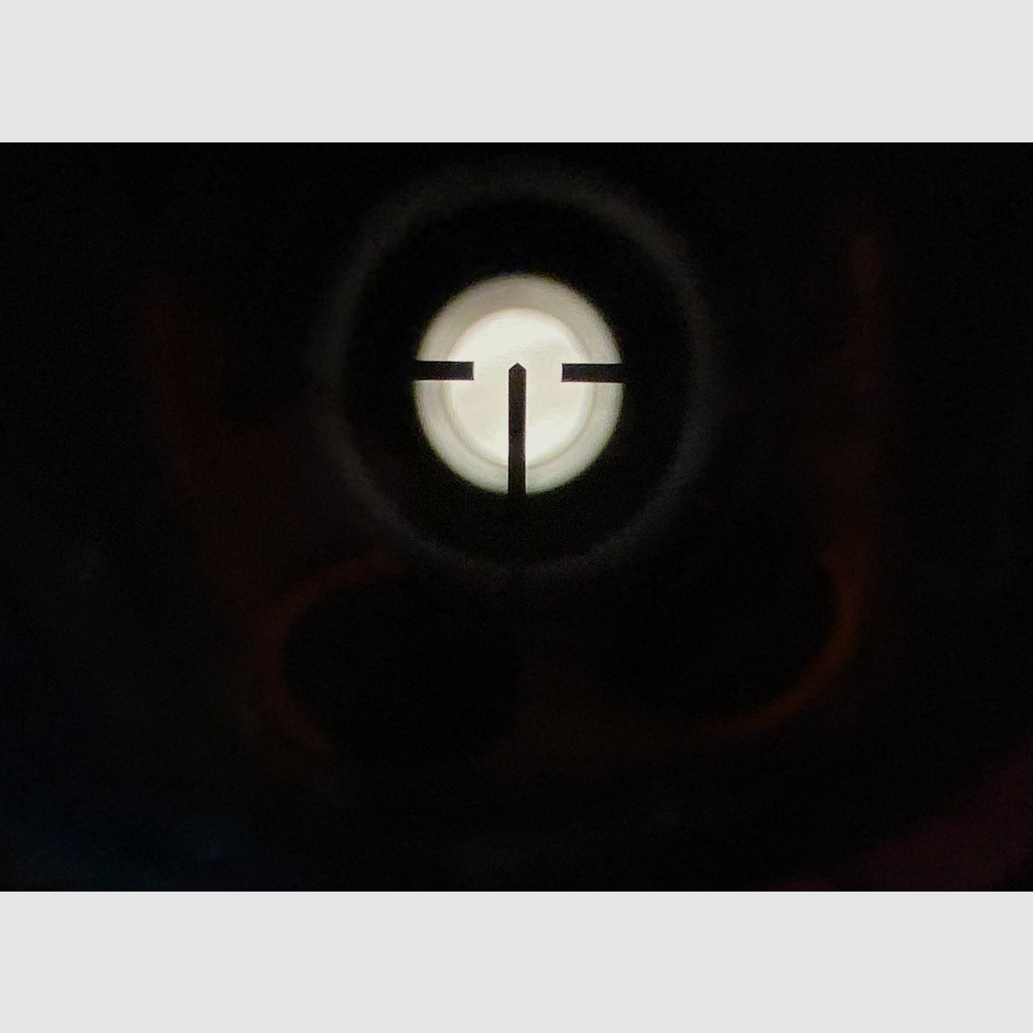 Ferlacher repeating rifle 8x57 IS, repeater, repeating rifle with muzzle thread for silencer, riflescope 8x56, new proof 2021