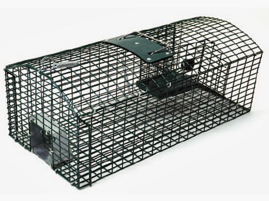 Trampa automática para ratas