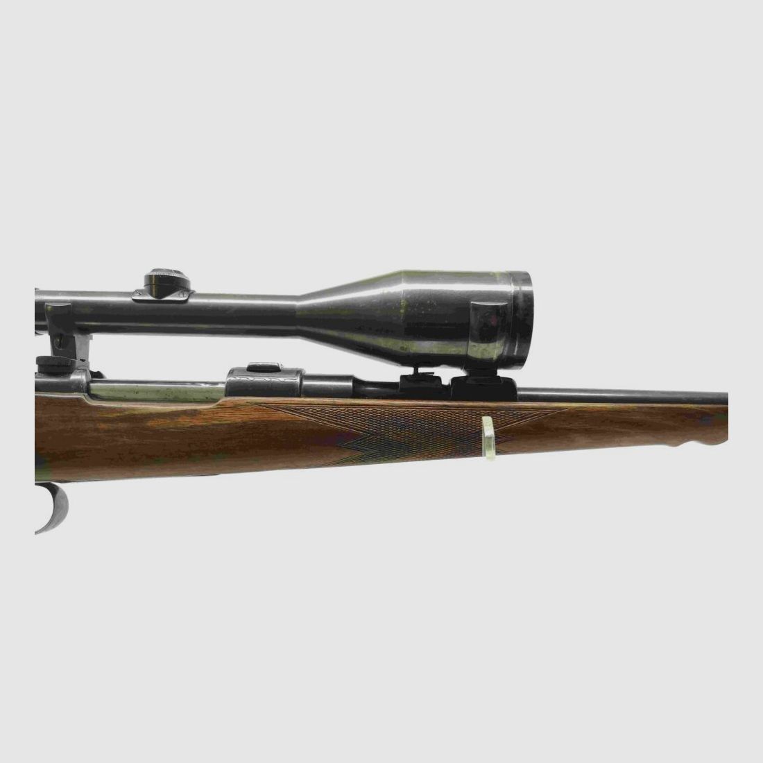Honold Ulm avec Zeiss Diastal 8x52