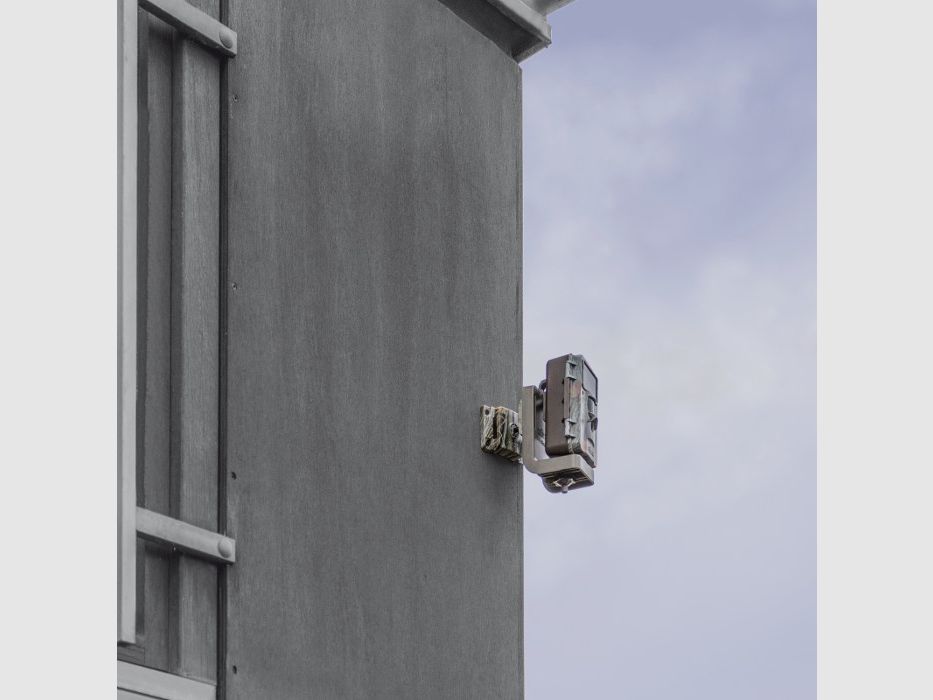 Dörr Haltesystem für SnapShot Multi camou