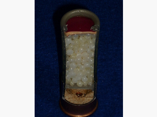 cal.12 GA Remington Peters