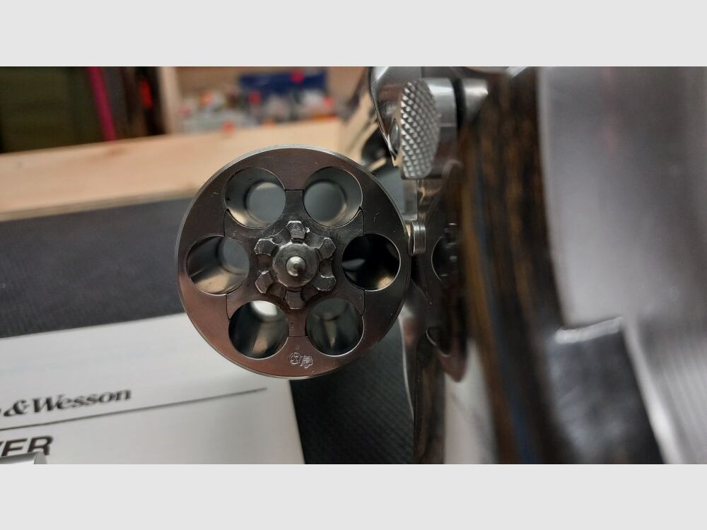 Smith & Wesson 686 Target Chapion