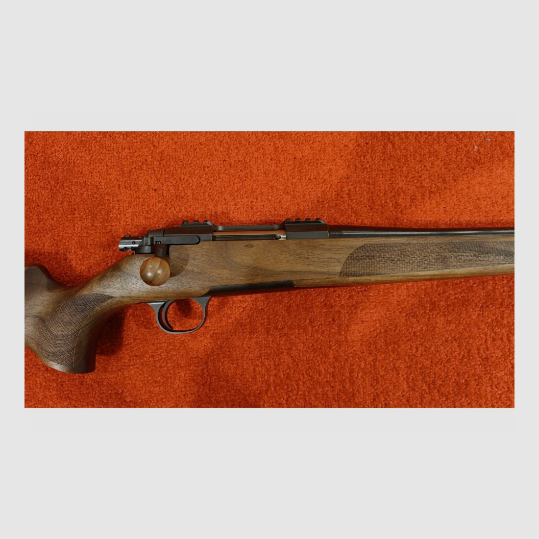 STEEL ACTION HS .308Win