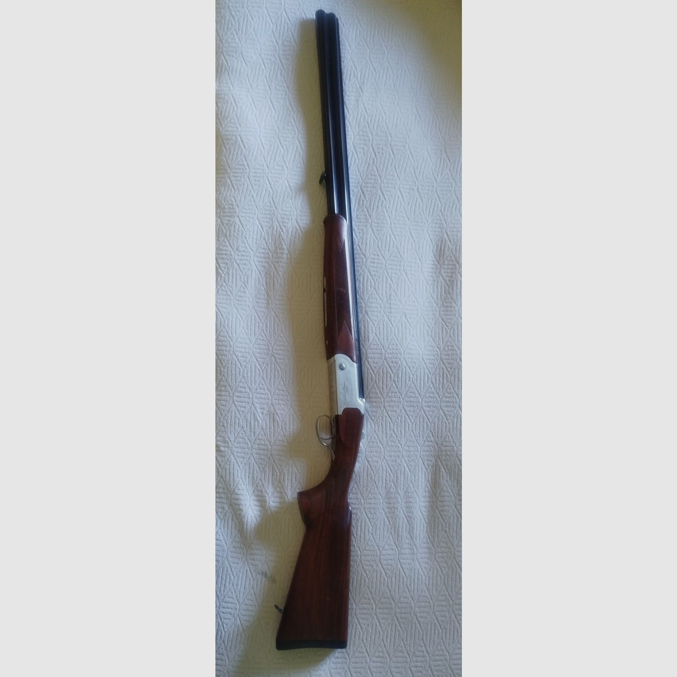 Sovrapposto Yldyz Cal 20