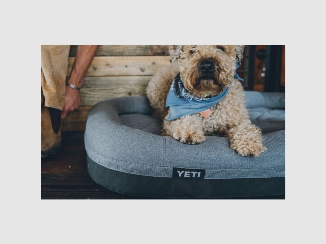 Yeti Hundebett Trailhead Grau