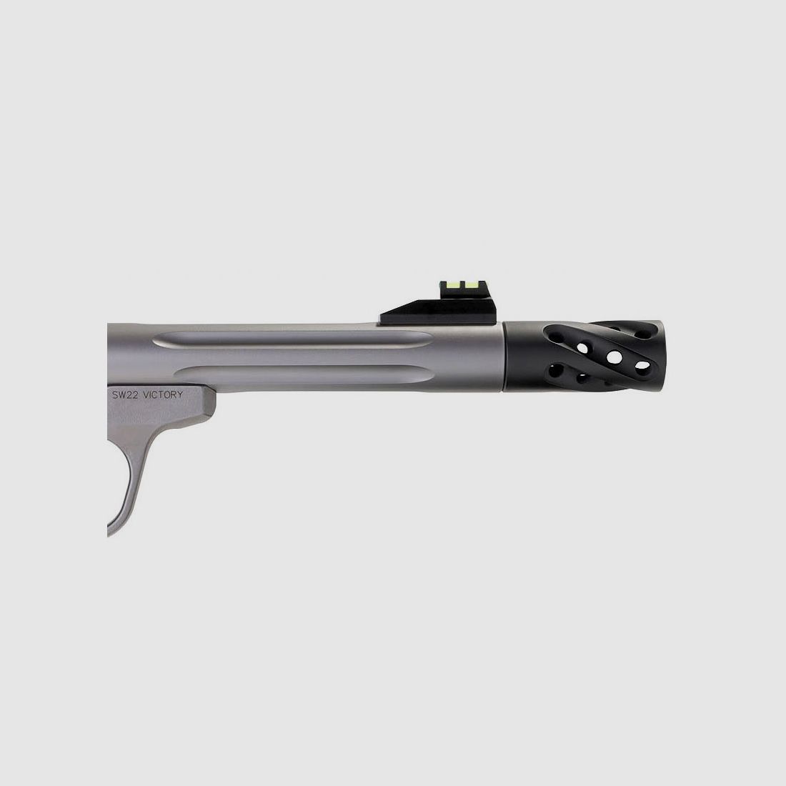 Smith & Wesson SW22 VICTORY Target Model mit geflutetem Lauf