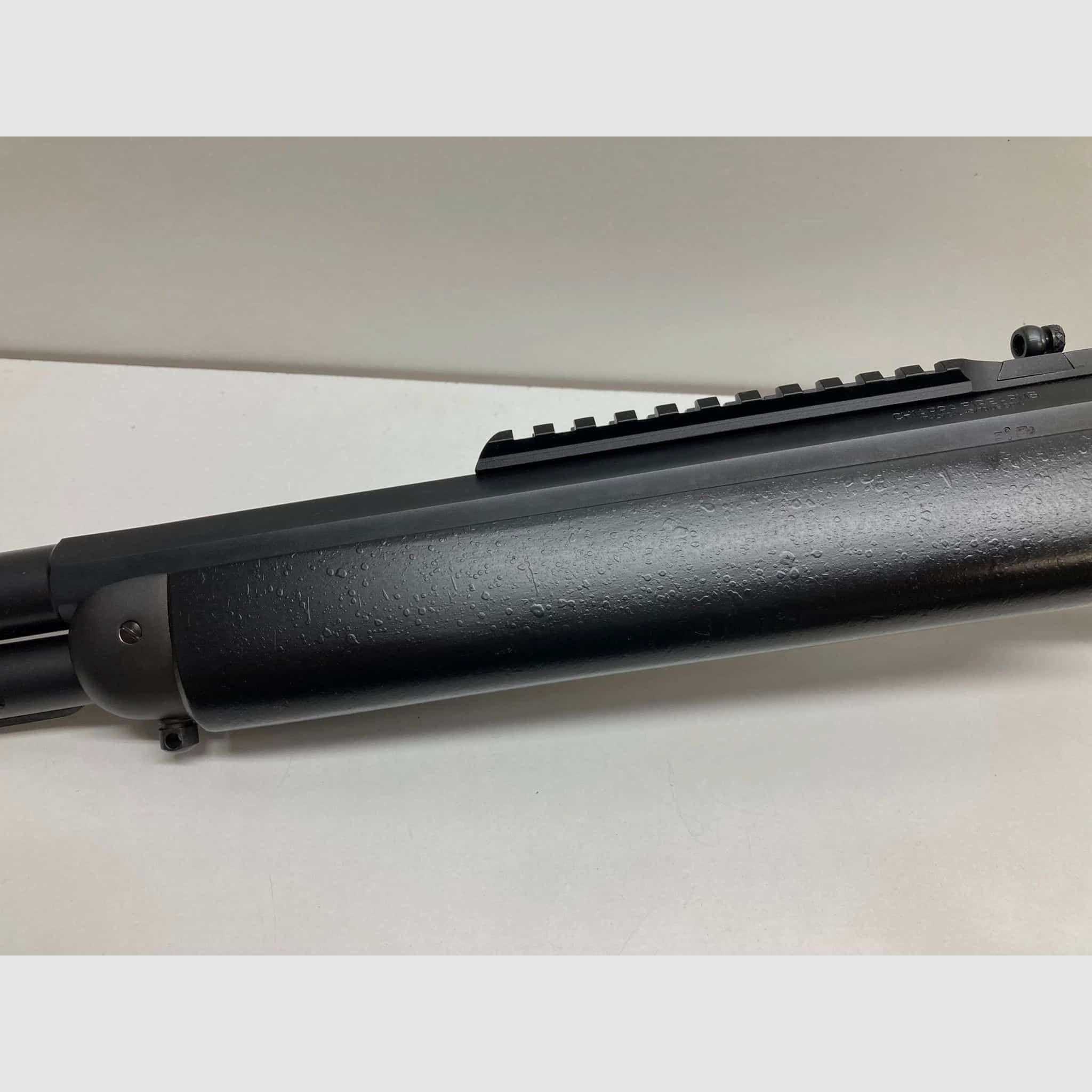 CHIAPPA 1886 WILDLANDS RIFLE | TAKE DOWN