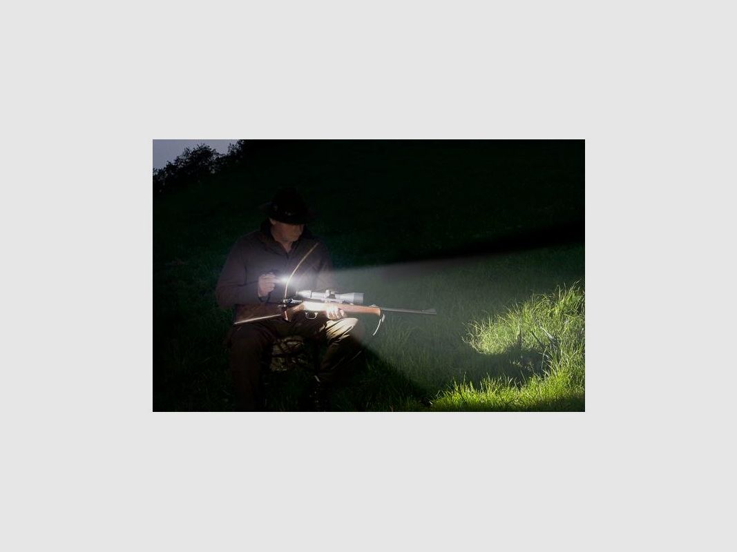 Led Lenser M7RX Torch, image 2 of 2
