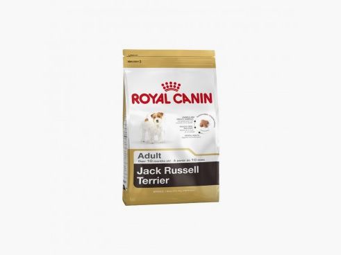 CROQUETTES ROYAL CANIN JACK RUSSELL ADULTES