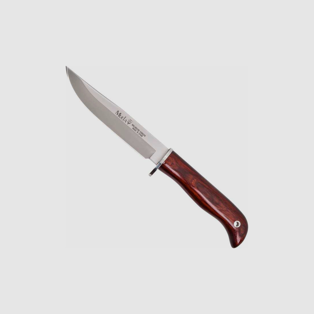Couteau de chasse haut de gamme Muela Gred en acier X50CrMoV15