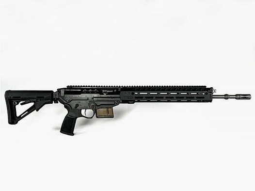 Sig Sauer SG 560 Sport