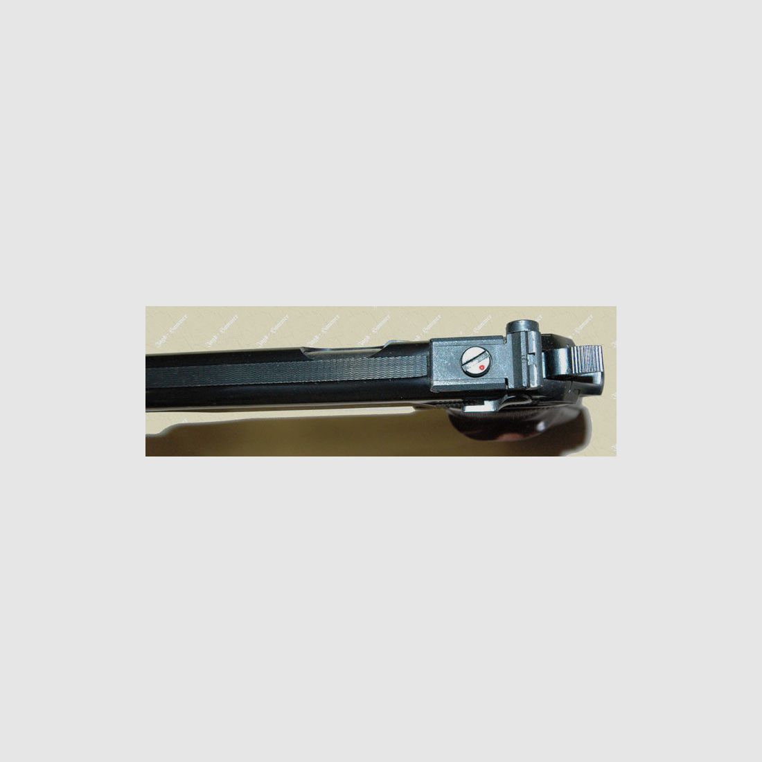 Walther PP-Sport