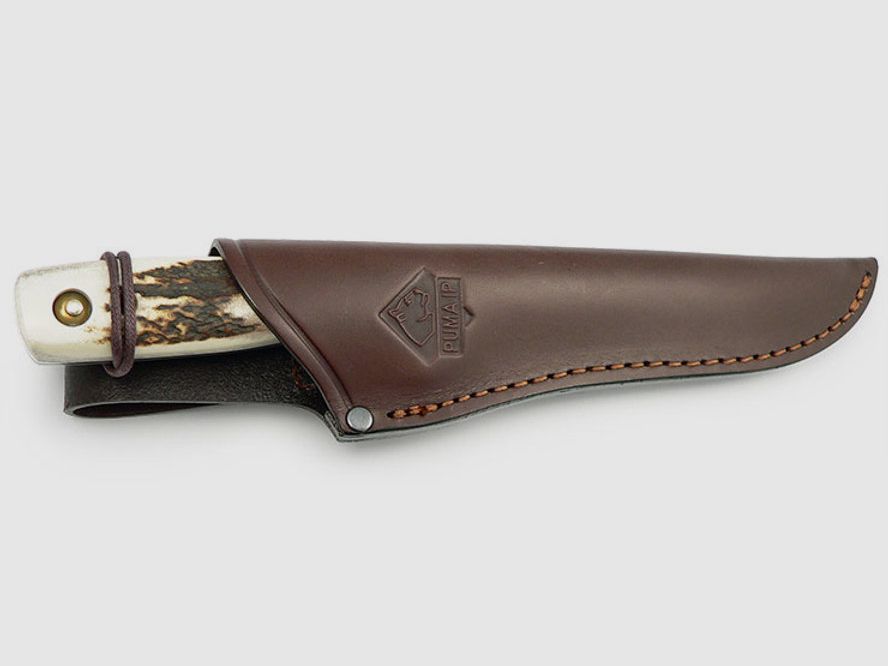 PUMA IP damwild, stag