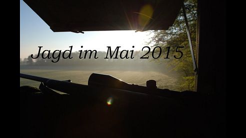 Jagd Mai 2015