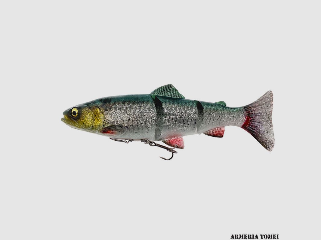 SAVAGE GEAR – 4D LINE THRU TROUT 20cm 98g Medium Sink GREEN SILVER