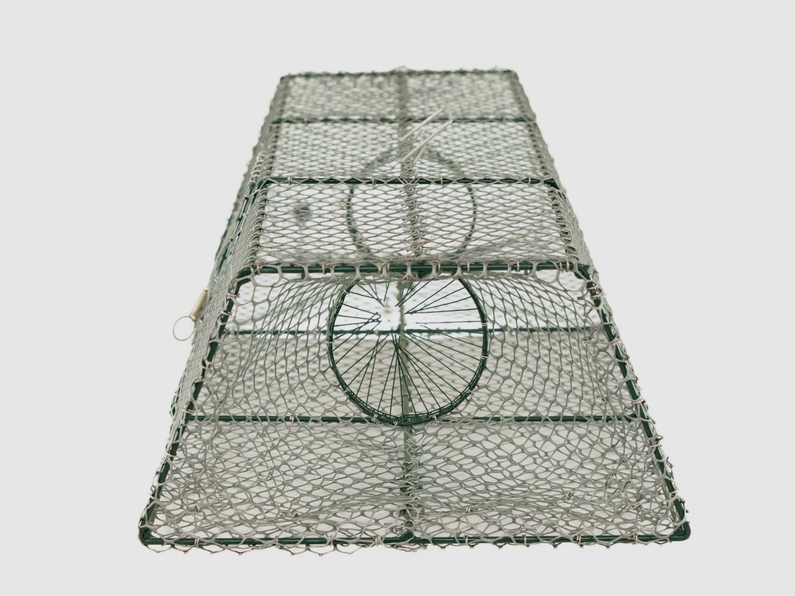 Fischreuse
