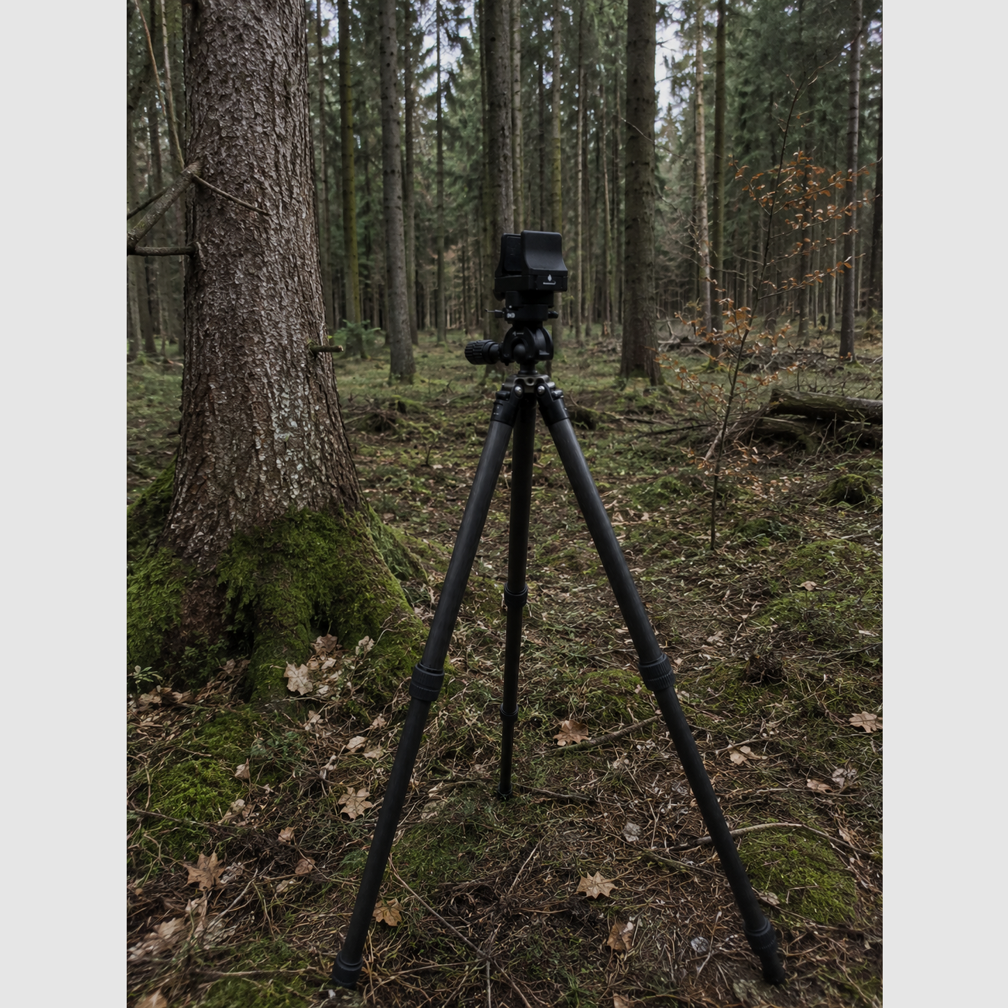 ShooterKing Apex Carbon Shooting Stick/Tripod Incl. Rifle Clamp, image 10 of 16