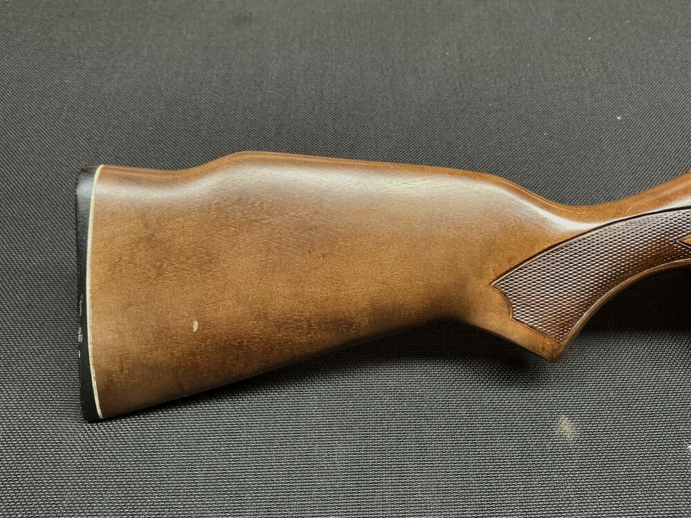 Lakefield sin .22lr, imagen 3 de 10