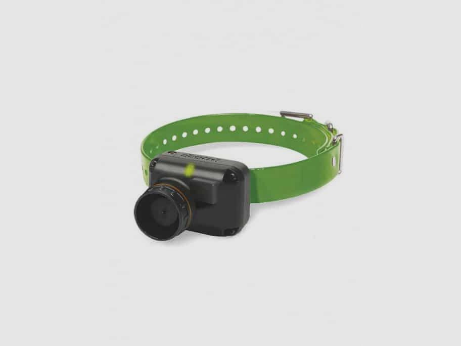 Trainingshalsband en Beeper 2600TB DOGTRA
