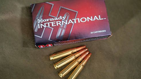 Erfahrungsbericht Hornady ECX .308 win. 125gr