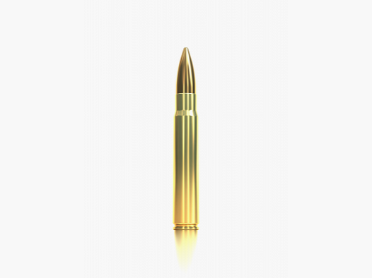 S&B Munitions de Fusil 8 x 57 IRS 11,7 g / 180 gr Tipped eXergy eXergy Blue