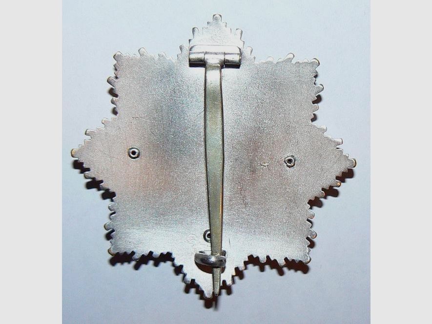 Deutsches Kreuz mit Etui aus Wk2 
