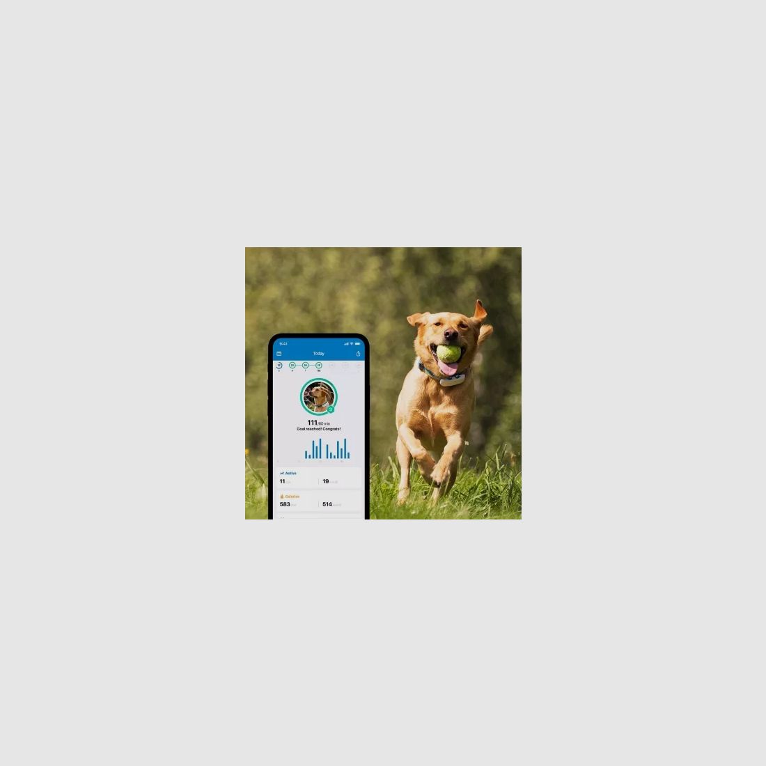 Tractive Tractive GPS Dog 4 Ortungsgerät