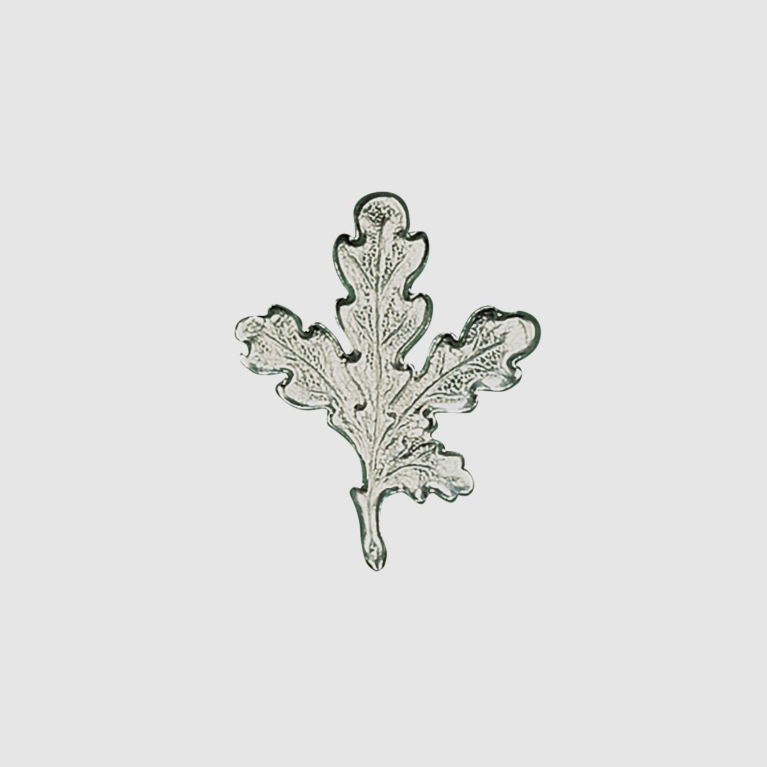 Oak leaf