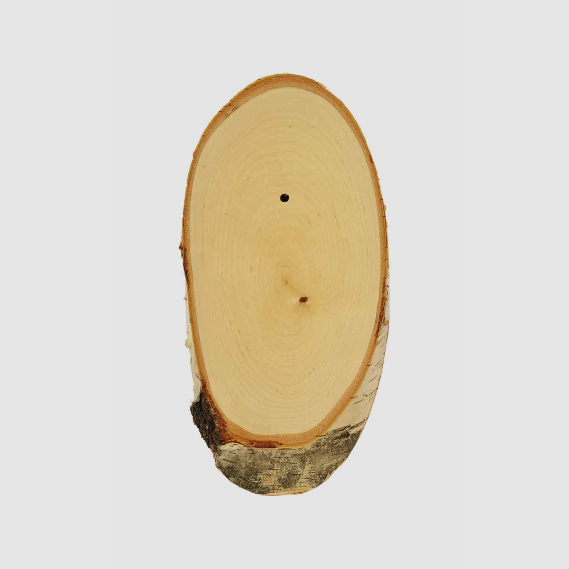 Trophäenschild für Rehbock Birke - 20 x 12 cm