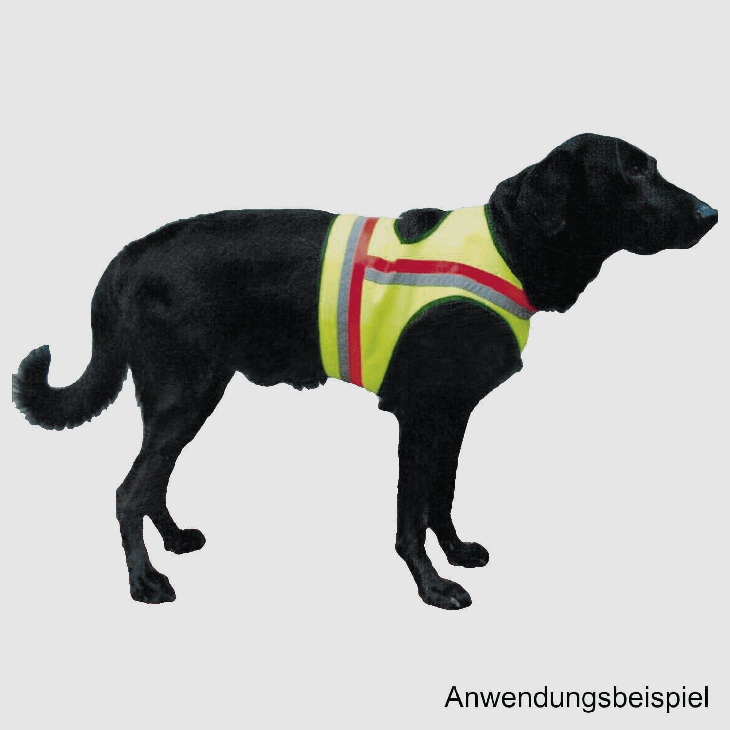 Hundewarnweste Gelb - M