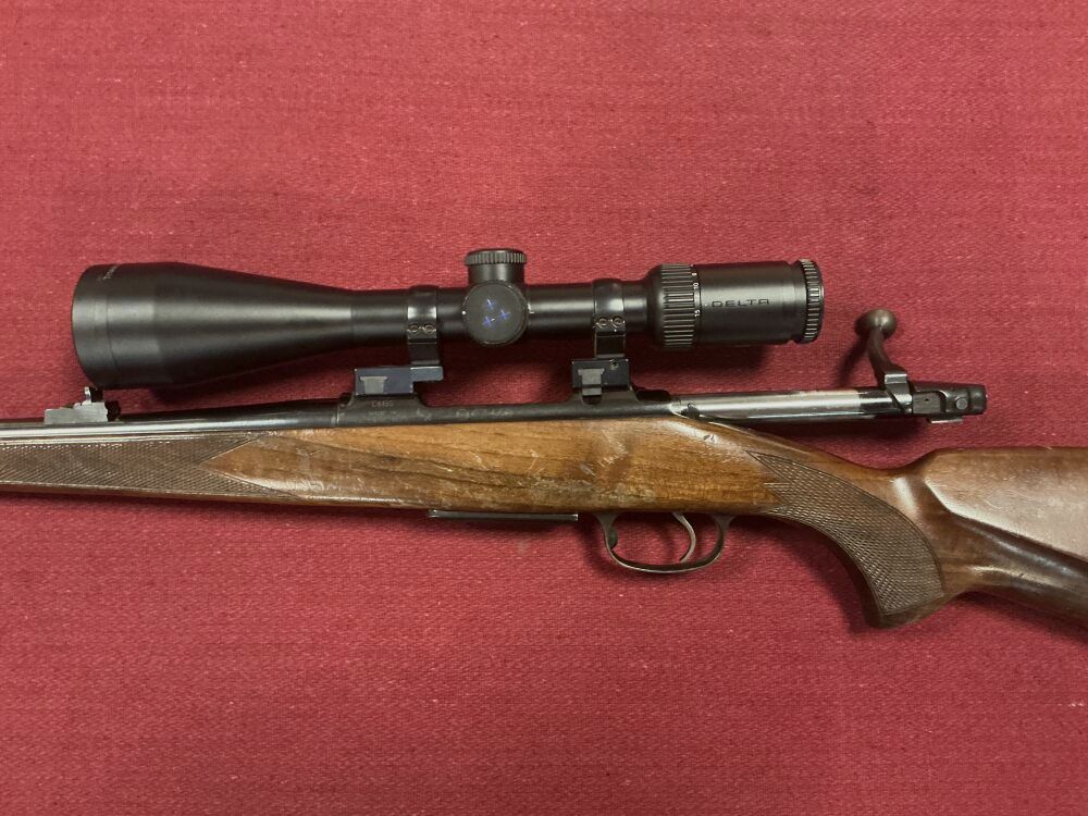 CZ 550